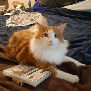 Meet your Posher, Lorie